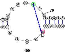 Create Basepair