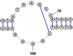 Create Basepair