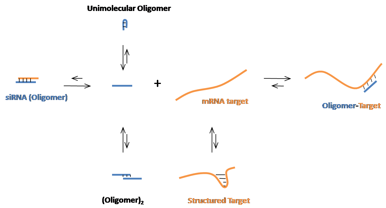 OligoWalk Schematic