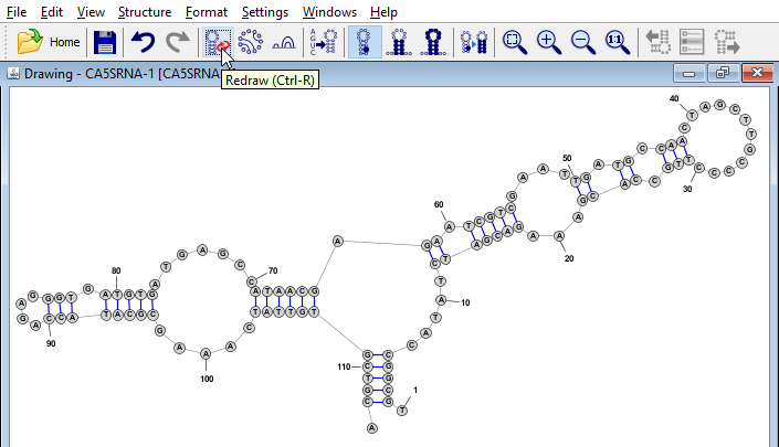 Redraw in Radial Mode